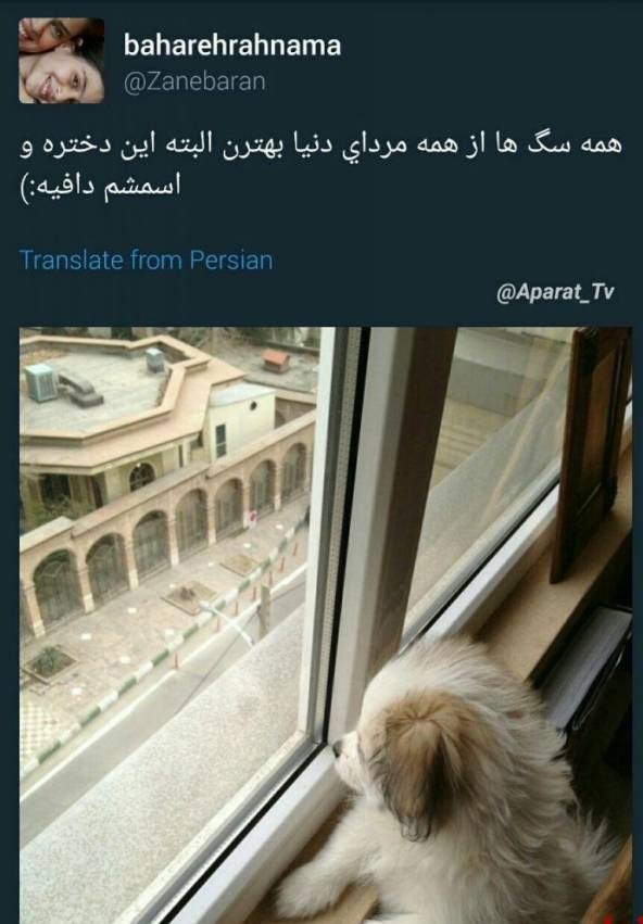 ماجرای توهین بهاره رهنما به مردان چه بود + عکس از توهین! ماجرای توهین بهاره رهنما به مردان چه بود + عکس از توهین!