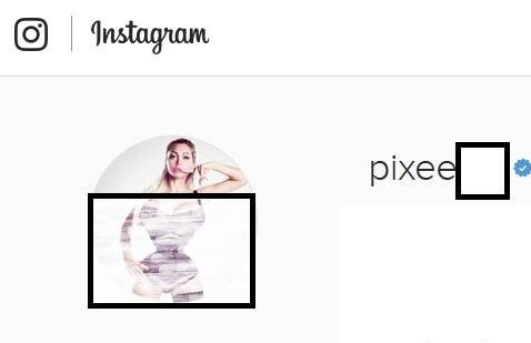 پیکسی فاکس pixee fox پیکسی فاکس pixee fox
