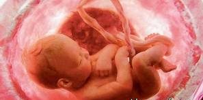 معجزه ای که برای جنین در شکم مادر افتاد! + عکس جنین