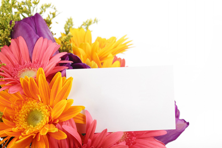 کارت پستال زیبای گل و عکس گل های زیبا