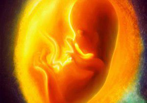 اهدای عضو جنین و نوزاد قبل از متولد شدن! 