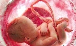 19 جنین سقط شده دختر در اطراف بیمارستانی پیدا شد