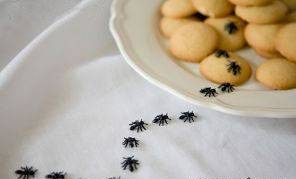 روش هایی برای دور کردن مورچه از خانه