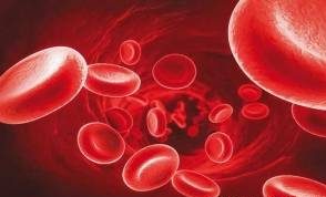 افزایش پلاکت خون
