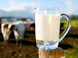 11 دلیل که نشان می دهد نیاز نیست هر روز شیر بنوشید!
