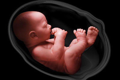 مرده زایی ( به دنیا آمدن جنین مرده ) چیست؟