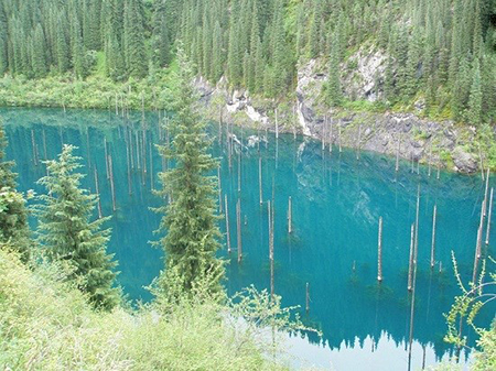 دریاچه ای عجیب با درختان وارونه