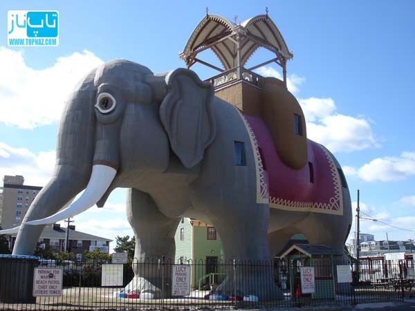 ساختمان فیل شکل