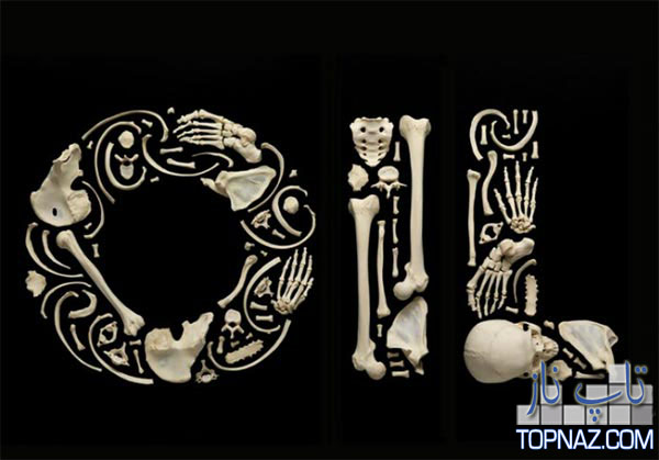 هنرنمایی جالب با استخوان های انسان