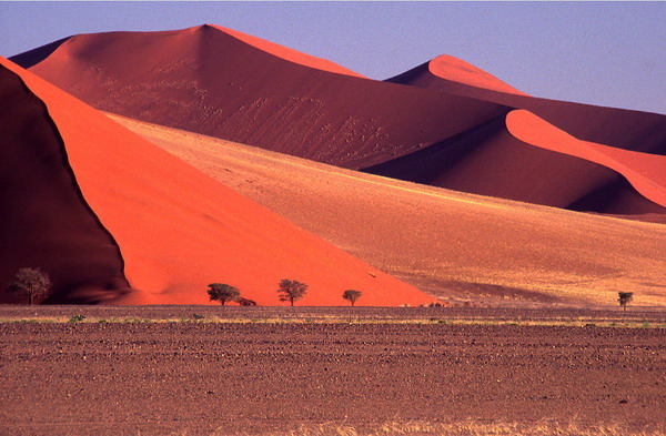 صحرای سرخ, نامیب