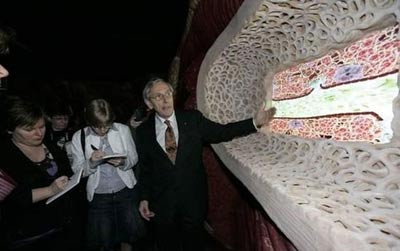 ساختمانی عجیب که شبیه به بدن انسان است! +عکس