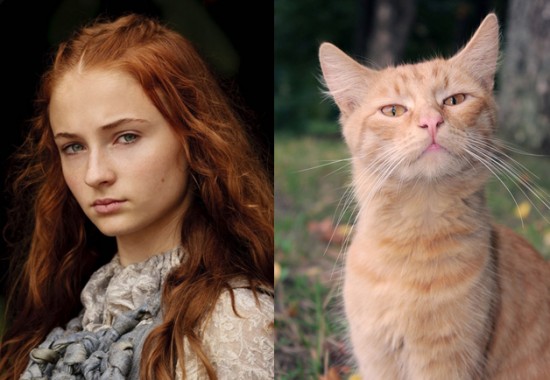 Game-Of-Thrones-Characters-as-Cats-10-550x380