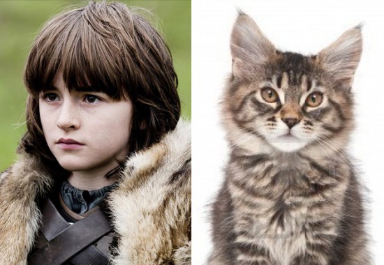 Game-Of-Thrones-Characters-as-Cats-11-550x380