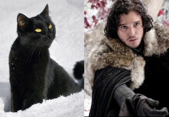 Game-Of-Thrones-Characters-as-Cats-12-550x380