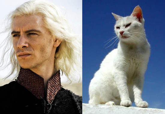 Game-Of-Thrones-Characters-as-Cats-15-550x380