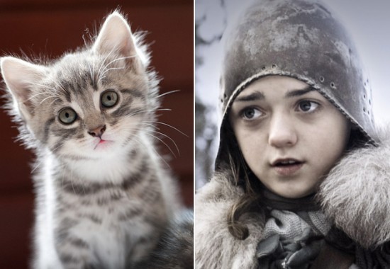 Game-Of-Thrones-Characters-as-Cats-9-550x380