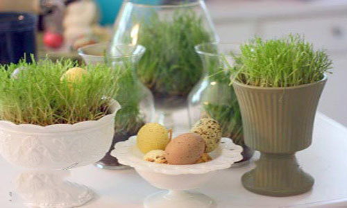 مدل های زیبای سبزه عید