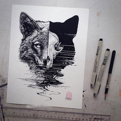 طرح نقاشی حیوانات با مداد سیاه