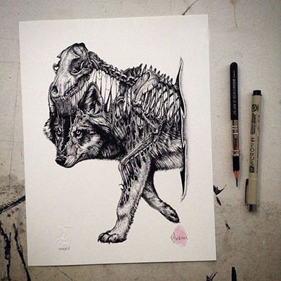 طراحی حیوانات با مداد رنگی