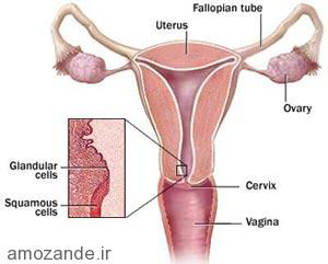جوانسازی واژن,گشاد شدن واژن,ناحیه تناسلی