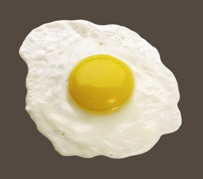 خاصیت سفیده تخم مرغ به خصوص برای بدنسازان 1