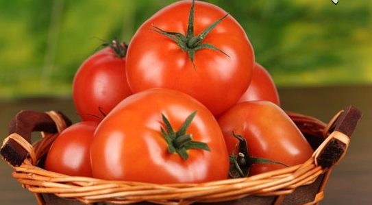 گوجه فرنگی | آشنایی با خواص شگفت انگیز گوجه فرنگی 1