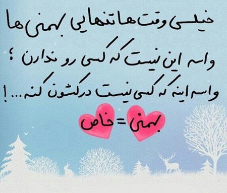 عکس نوشته های مخصوص دختران و پسران متولد بهمن ماه
