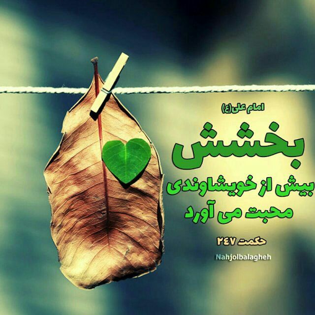 احادیث در مورد عفو و اغماض | حدیث در مورد بخشش