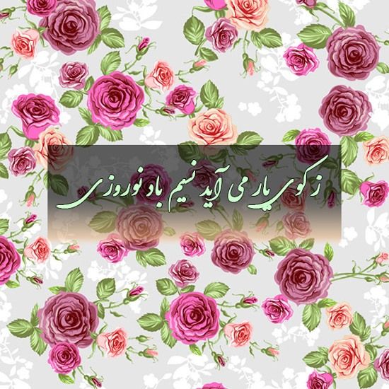 عکس های عاشقانه تبریک عید نوروز