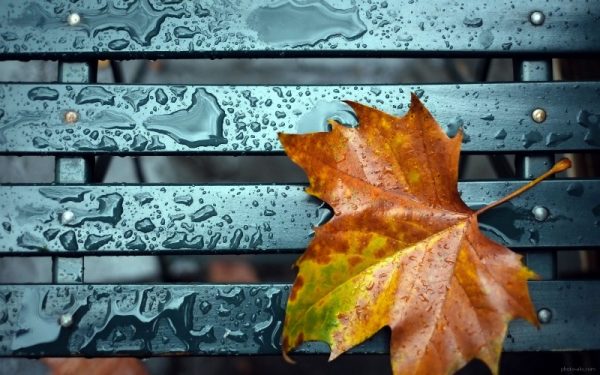 متن عاشقانه دو نفره پاییزی 