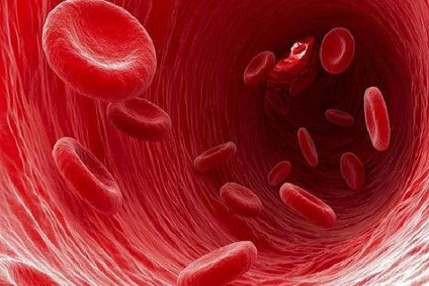 تقویت گردش خون + چند روش خانگی برای گردش خون بهتر