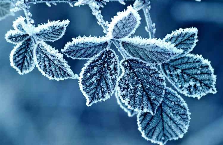 متن های زمستانی در مورد برف و سرما + عکس پروفایل عاشقانه زمستان