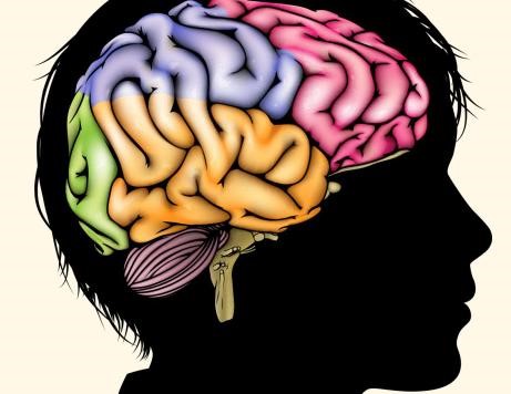 شکل گیری ساختار مغز نوجوانان چگونه است؟
