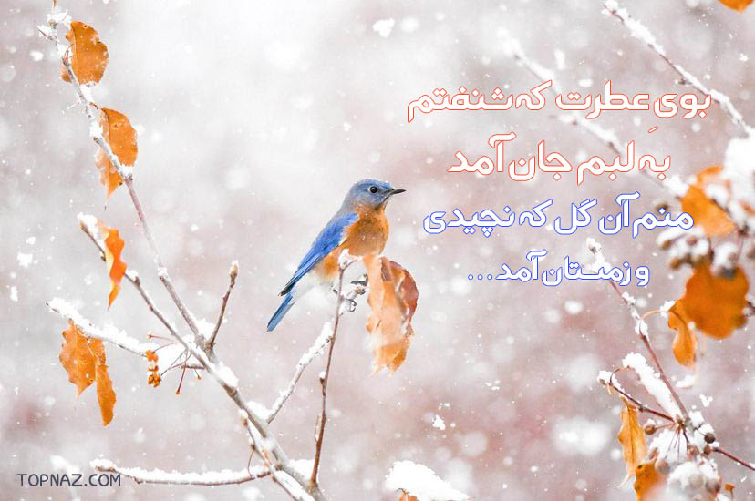 جملات زمستانی کوتاه