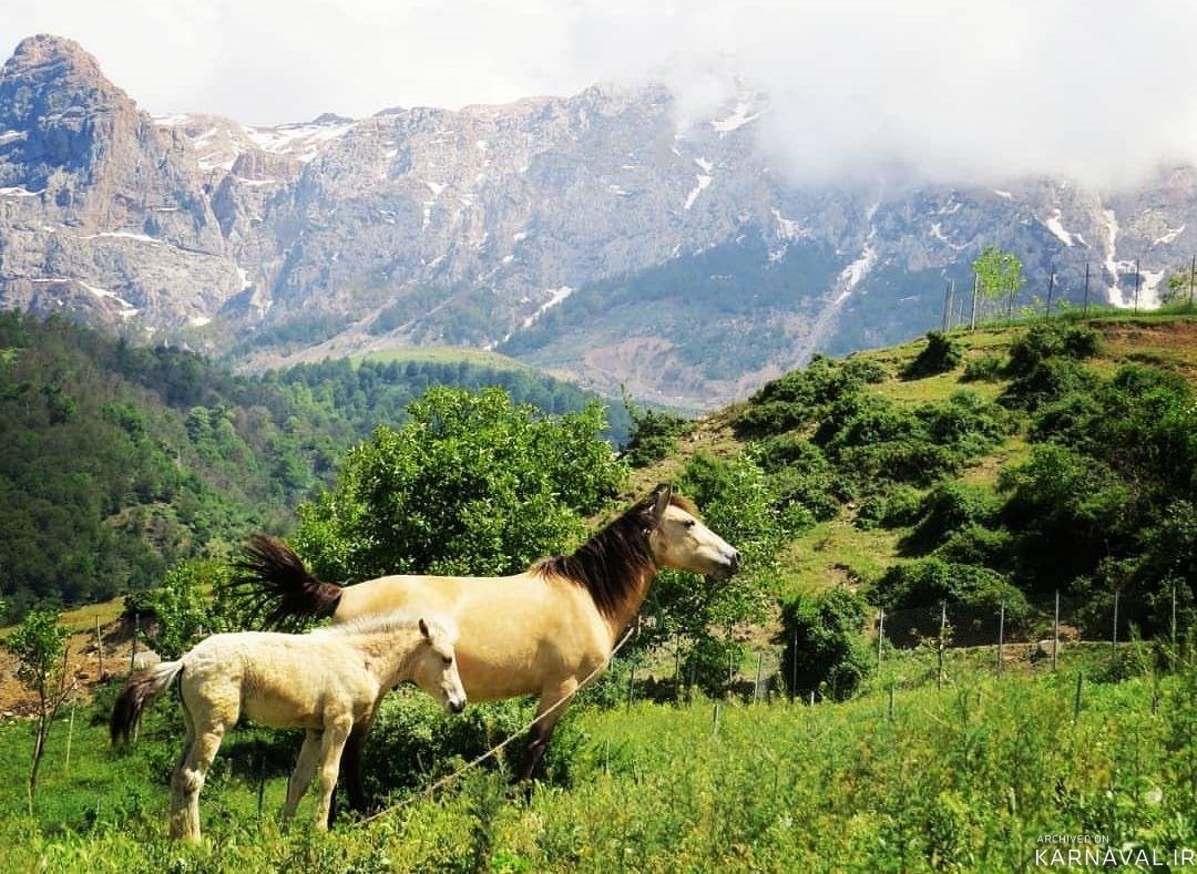 بهترین روستاهای شمال برای گردشگری و عکس های زیبا زیباترین روستاها