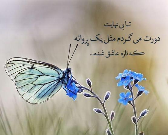 قشنگ ترین جملات در مورد گل