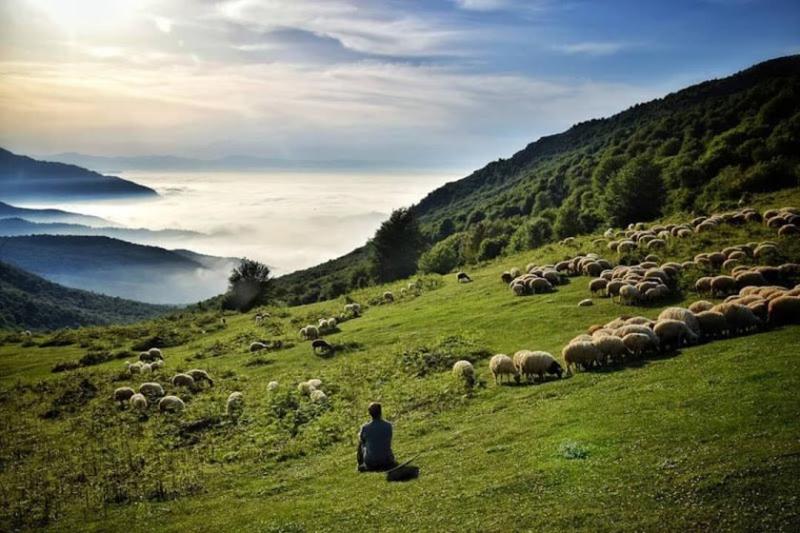 ییلاق دیلمان